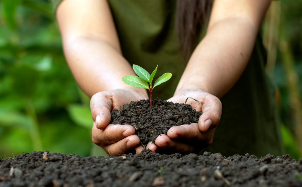 banners-seccio-n-sostenibilidad_mobile