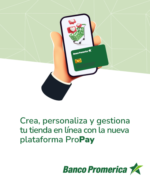 pro_pay-1