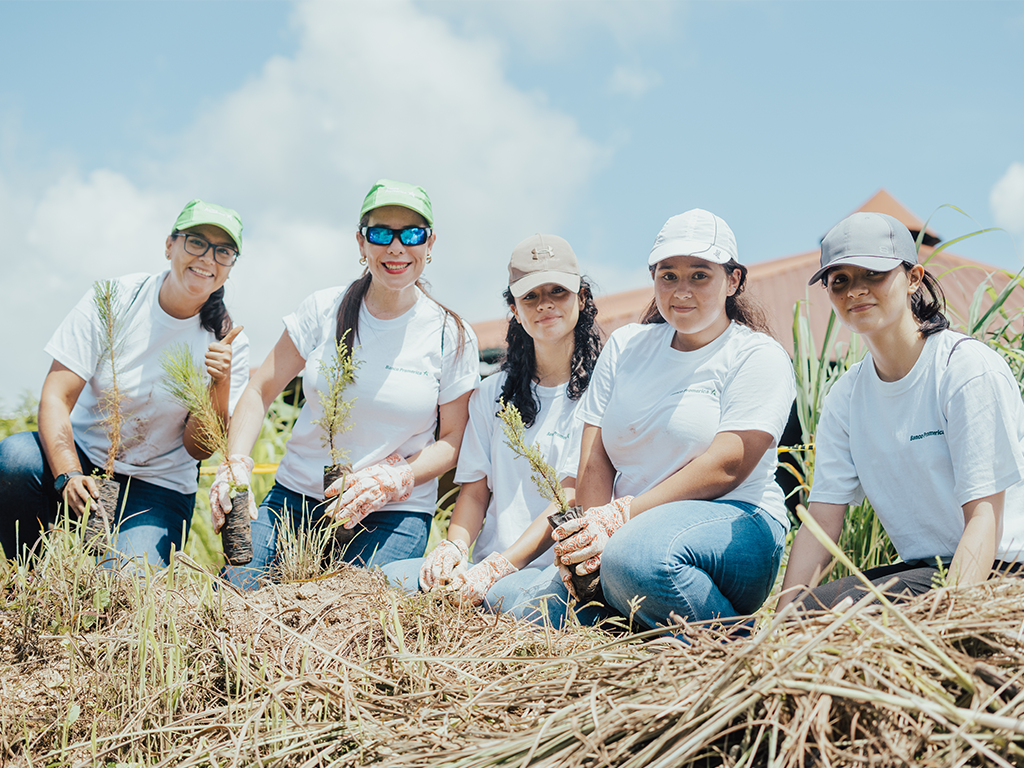 Voluntariado Ambiental