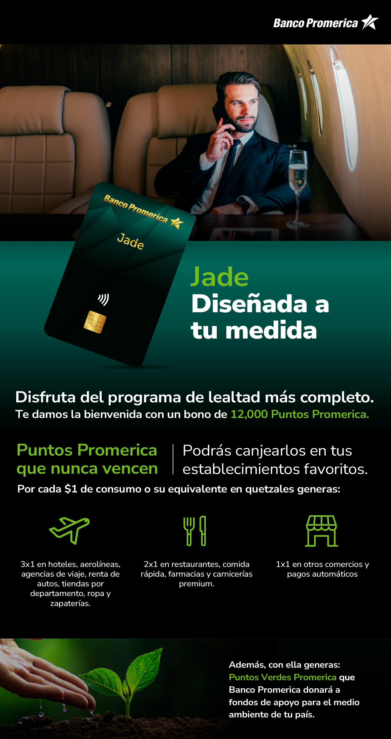 Tarjeta Jade